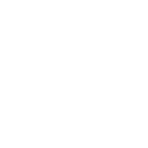 Prism Longboards