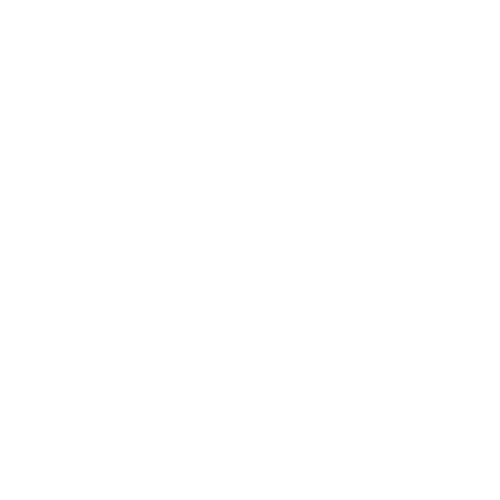 Rayne Longboards