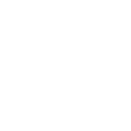 Triton Surfskate by Carver